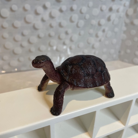 Safari life like Hermit Crab 🦀& Tortoise 🐢 figures - Picture 7 of 11